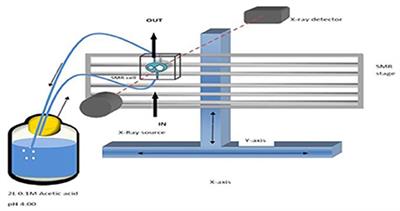 A Novel Kinetic Method to Measure Apparent Solubility Product of Bulk Human Enamel